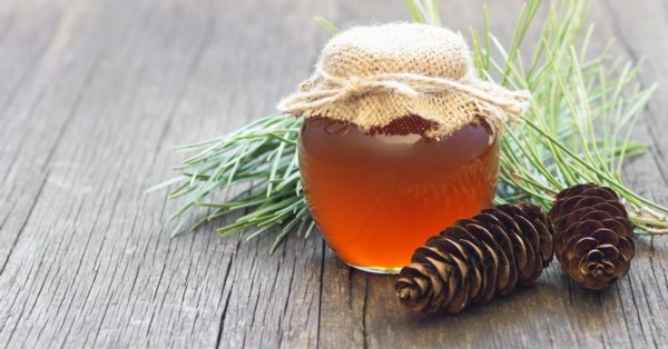 Çam Kozalağı Pekmezi Faydaları Nelerdir? Çam Kozalağı Pekmezi Nasıl Tüketilir?